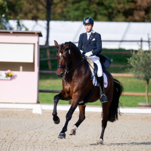 CDI Troisdorf 2023 - autumn