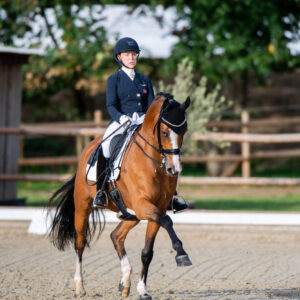 CDI Troisdorf 2023 - autumn