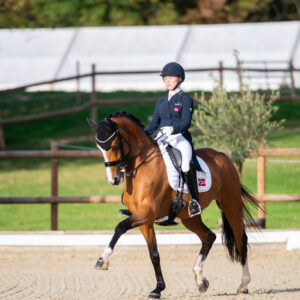 CDI Troisdorf 2023 - autumn