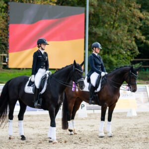 CDI Troisdorf 2023 - autumn