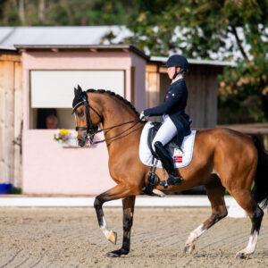 CDI Troisdorf 2023 - autumn