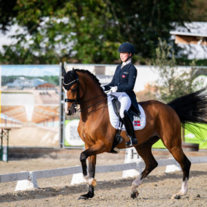 CDI Troisdorf 2023 - autumn