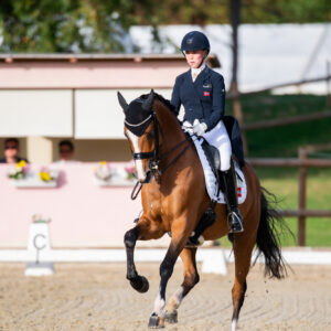 CDI Troisdorf 2023 - autumn