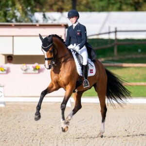 CDI Troisdorf 2023 - autumn