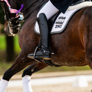 CDI Troisdorf 2023 - autumn