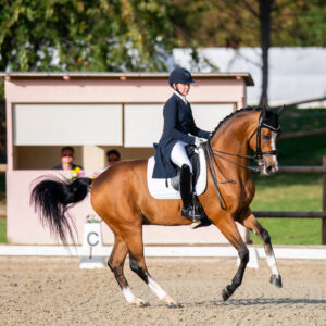 CDI Troisdorf 2023 - autumn