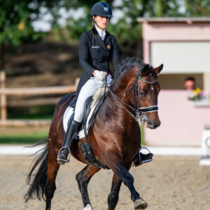 CDI Troisdorf 2023 - autumn