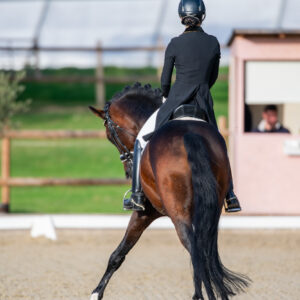 CDI Troisdorf 2023 - autumn