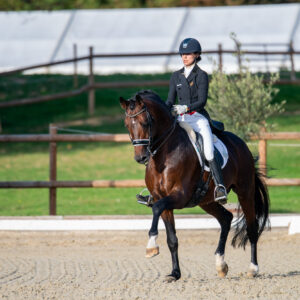 CDI Troisdorf 2023 - autumn
