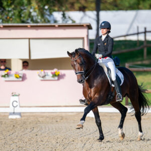 CDI Troisdorf 2023 - autumn