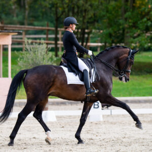 CDI Troisdorf 2023 - autumn