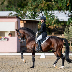 CDI Troisdorf 2023 - autumn