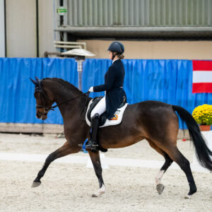 CDI Wroclaw 2023 - autumn