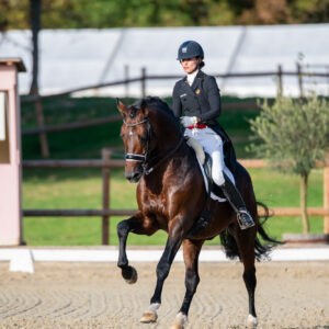 CDI Troisdorf 2023 - autumn