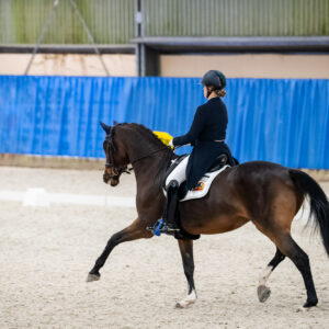CDI Wroclaw 2023 - autumn