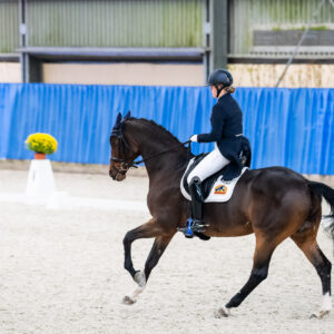 CDI Wroclaw 2023 - autumn