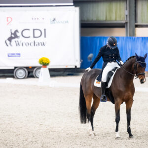 CDI Wroclaw 2023 - autumn