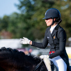 CDI Troisdorf 2023 - autumn