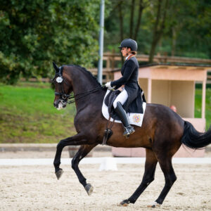 CDI Troisdorf 2023 - autumn