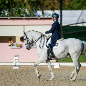 CDI Troisdorf 2023 - autumn