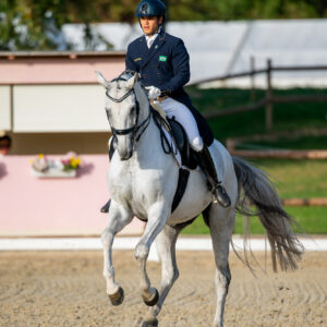 CDI Troisdorf 2023 - autumn