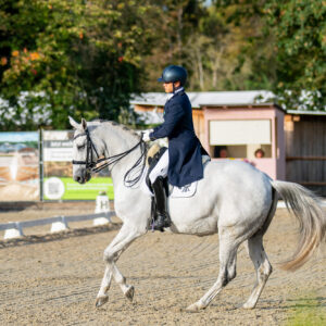 CDI Troisdorf 2023 - autumn