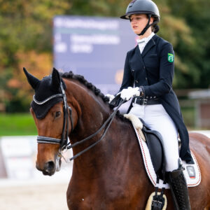 CDI Troisdorf 2023 - autumn