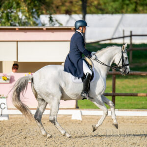 CDI Troisdorf 2023 - autumn