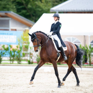 CDI Troisdorf 2023 - autumn