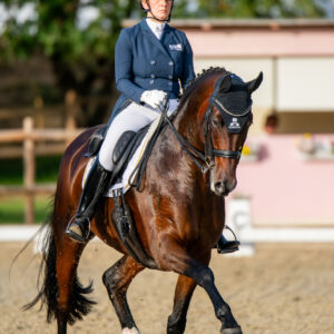 CDI Troisdorf 2023 - autumn