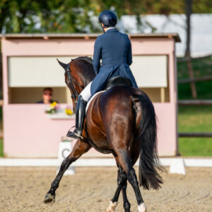 CDI Troisdorf 2023 - autumn