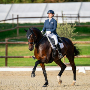 CDI Troisdorf 2023 - autumn