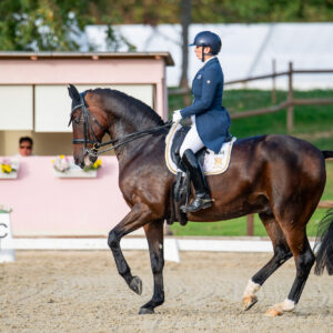 CDI Troisdorf 2023 - autumn