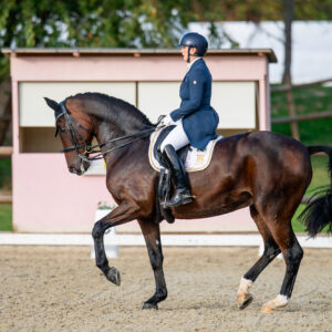 CDI Troisdorf 2023 - autumn