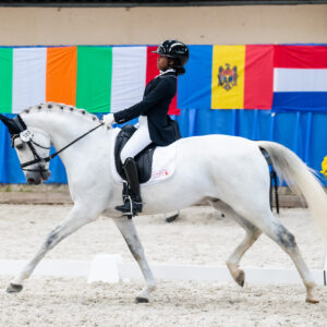 CDI Wroclaw 2023 - autumn