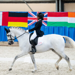CDI Wroclaw 2023 - autumn