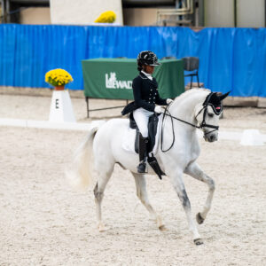 CDI Wroclaw 2023 - autumn