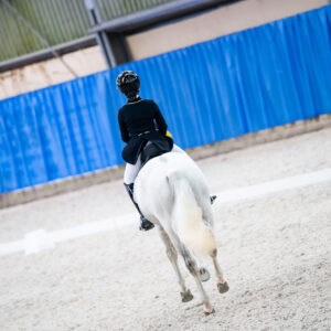 CDI Wroclaw 2023 - autumn