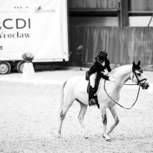 CDI Wroclaw 2023 - autumn