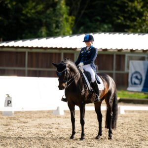 CDI Troisdorf 2023 - autumn