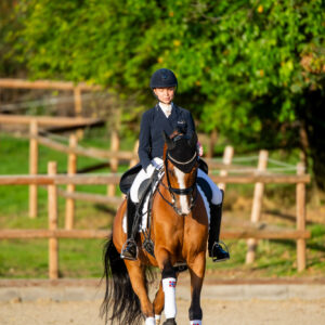 CDI Troisdorf 2023 - autumn