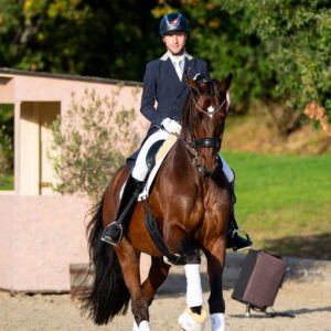 CDI Troisdorf 2023 - autumn