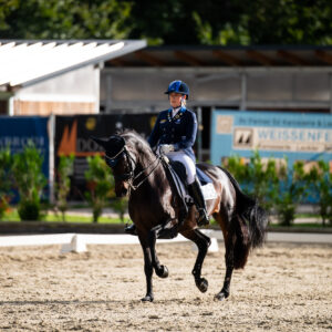 CDI Troisdorf 2023 - autumn