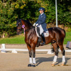 CDI Troisdorf 2023 - autumn
