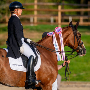 CDI Troisdorf 2023 - autumn