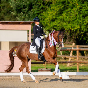 CDI Troisdorf 2023 - autumn
