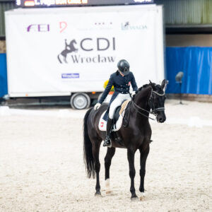 CDI Wroclaw 2023 - autumn