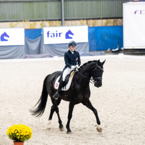 CDI Wroclaw 2023 - autumn