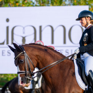 CDI Troisdorf 2023 - autumn