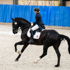CDI Wroclaw 2023 - autumn